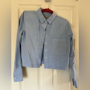 Everlane The Cropped Oxford